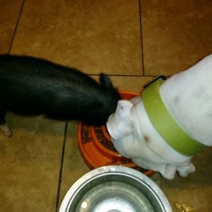 Meet your Posher, Erin